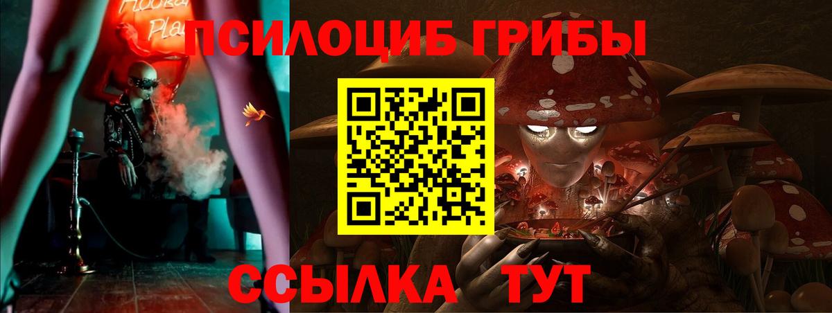 Галлюциногенные грибы ЛСД  наркота  Псилоцибиновые грибы Psilocybe  Зеленокумск  Вход с VPN 
